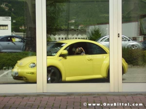 01-06-2008 - ESTremamente Gnu! 2008