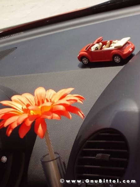 01-06-2008 - ESTremamente Gnu! 2008