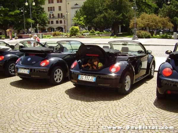 01-06-2008 - ESTremamente Gnu! 2008