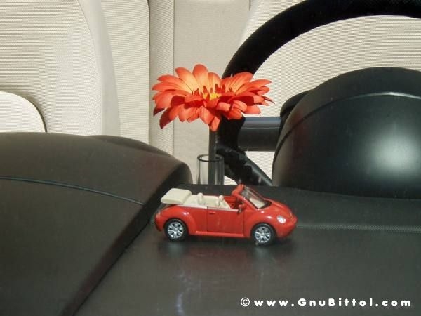 01-06-2008 - ESTremamente Gnu! 2008