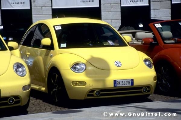 01-06-2008 - ESTremamente Gnu! 2008