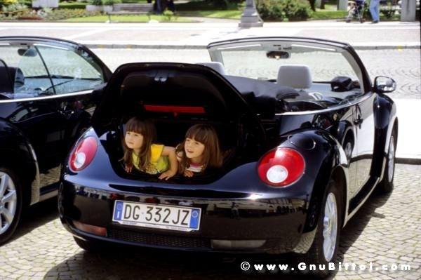 01-06-2008 - ESTremamente Gnu! 2008