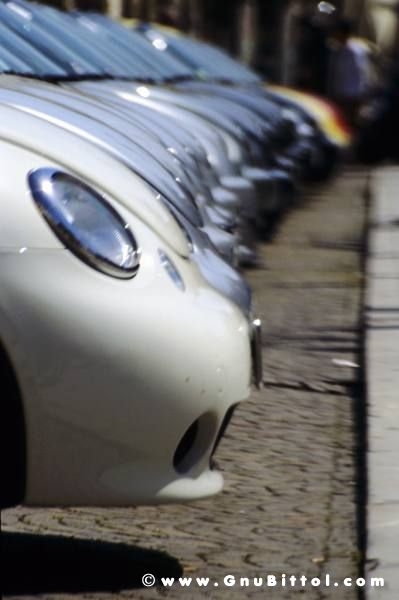 01-06-2008 - ESTremamente Gnu! 2008