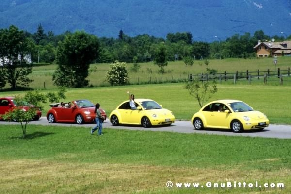 01-06-2008 - ESTremamente Gnu! 2008