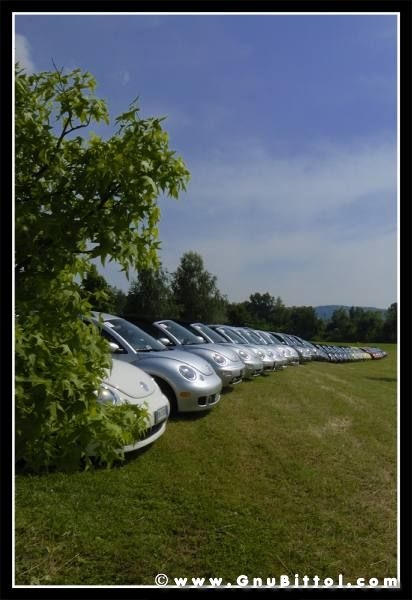 01-06-2008 - ESTremamente Gnu! 2008