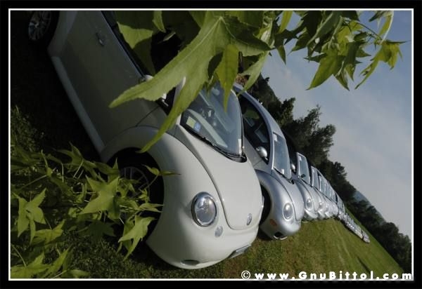 01-06-2008 - ESTremamente Gnu! 2008