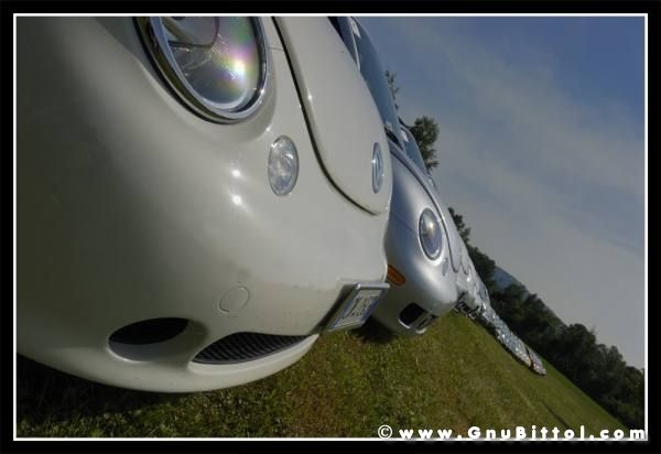 01-06-2008 - ESTremamente Gnu! 2008