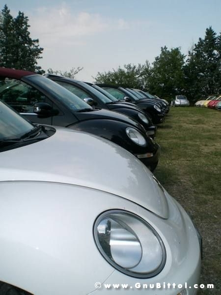 06-06-2010  - benvGNU in Parma! 2010