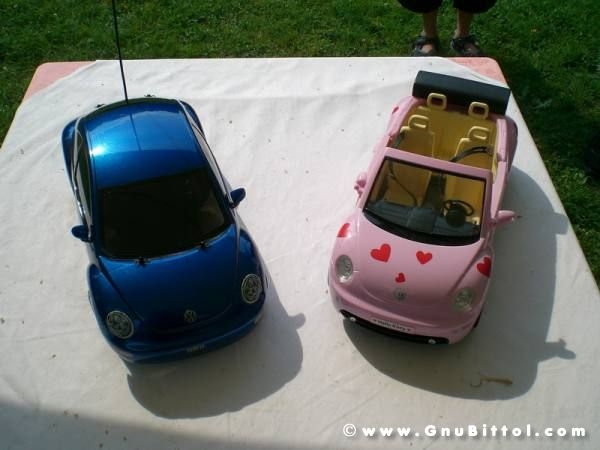 06-06-2010  - benvGNU in Parma! 2010