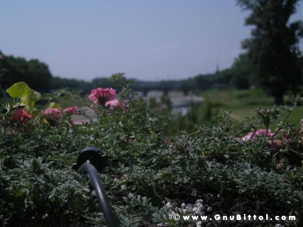 06-06-2010  - benvGNU in Parma! 2010