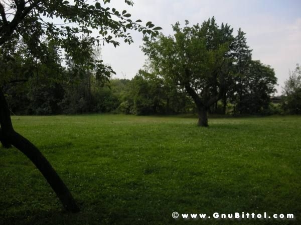 06-06-2010  - benvGNU in Parma! 2010