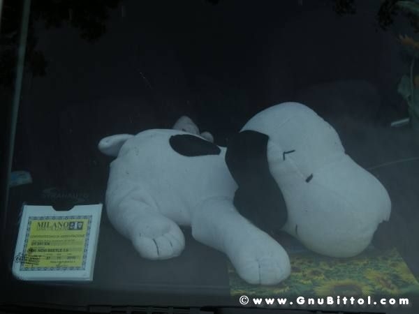 06-06-2010  - benvGNU in Parma! 2010