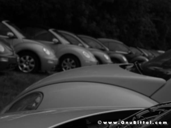 06-06-2010  - benvGNU in Parma! 2010