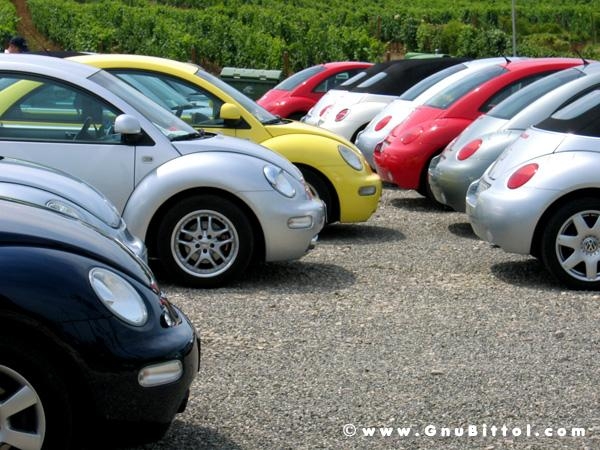 09-07-2006 - Piacenza 2006 un anno dopo...