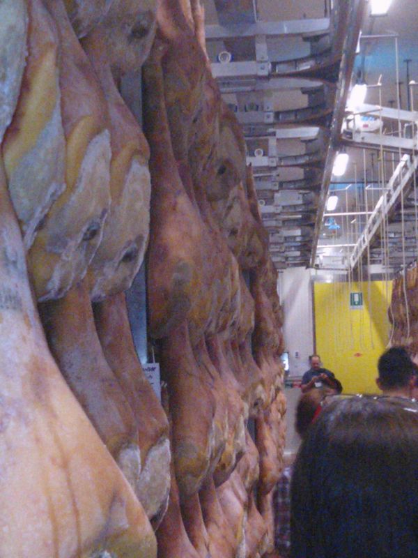 09-07-2006 - Piacenza 2006 un anno dopo...