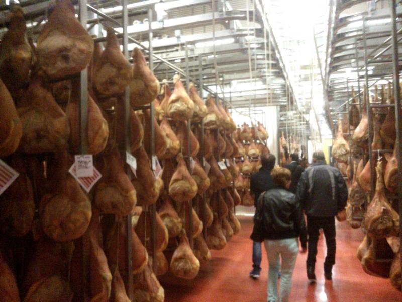 09-07-2006 - Piacenza 2006 un anno dopo...