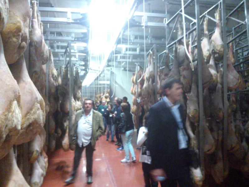 09-07-2006 - Piacenza 2006 un anno dopo...