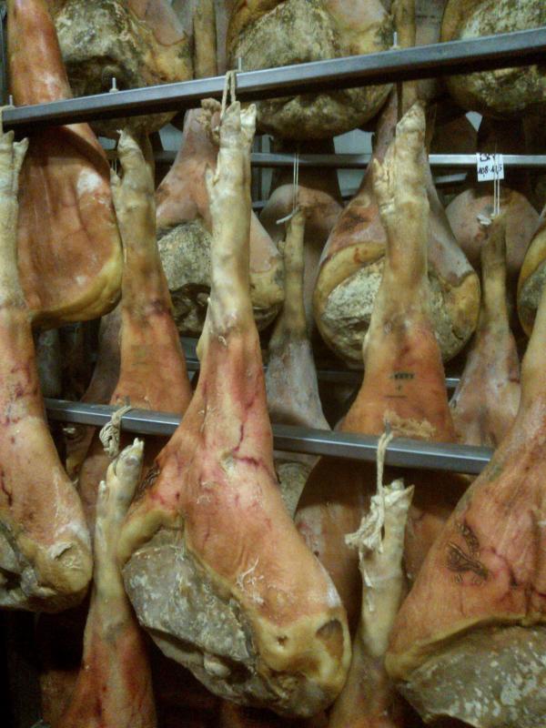 09-07-2006 - Piacenza 2006 un anno dopo...