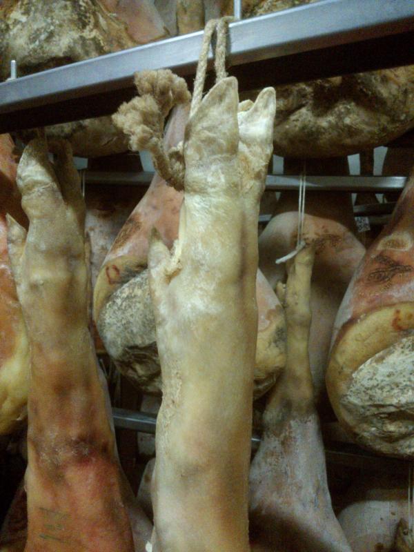 09-07-2006 - Piacenza 2006 un anno dopo...