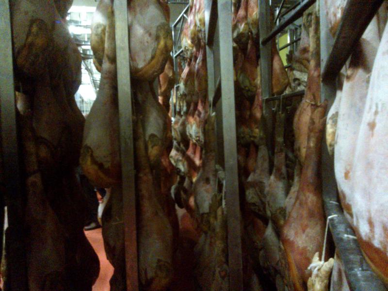 09-07-2006 - Piacenza 2006 un anno dopo...