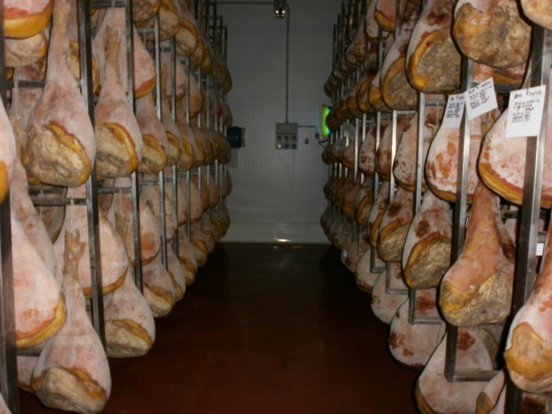 09-07-2006 - Piacenza 2006 un anno dopo...