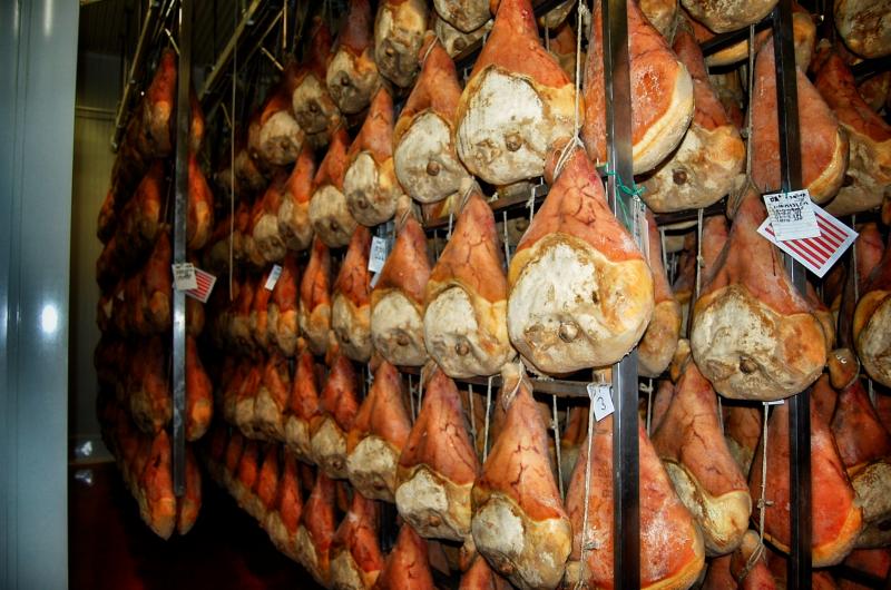 09-07-2006 - Piacenza 2006 un anno dopo...