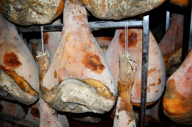 09-07-2006 - Piacenza 2006 un anno dopo...