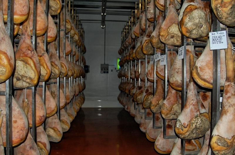 09-07-2006 - Piacenza 2006 un anno dopo...