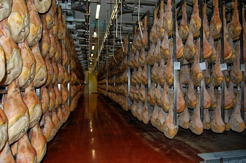 09-07-2006 - Piacenza 2006 un anno dopo...