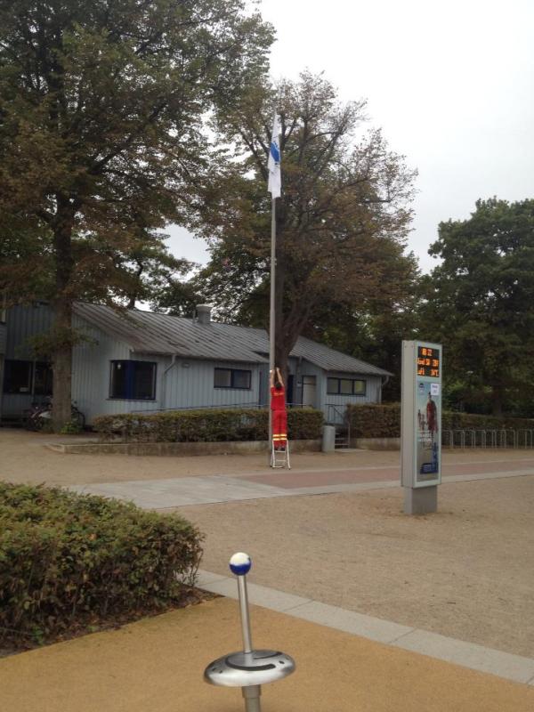 10' beetle sunshinetour 2k14