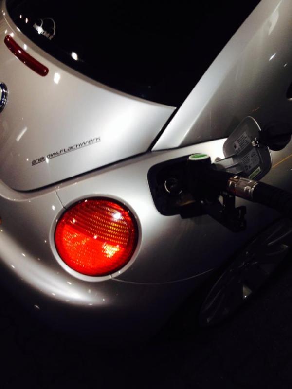 10' beetle sunshinetour 2k14