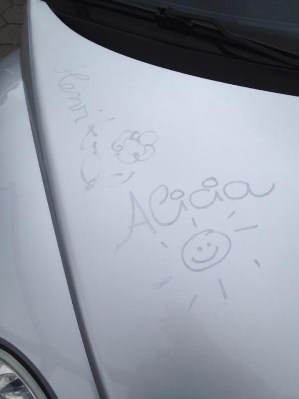 10' beetle sunshinetour 2k14