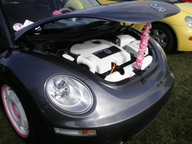 10' beetlesunshinetour 2k14