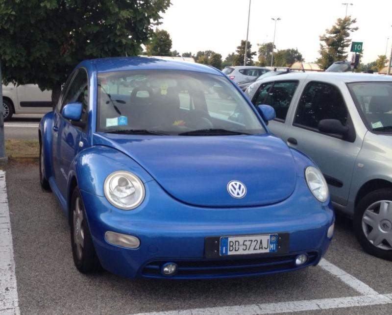 10525795 563598313774571 4019388218462452535 n