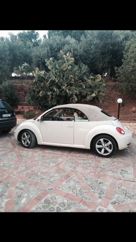 10617322 729050780516409 466572235 n