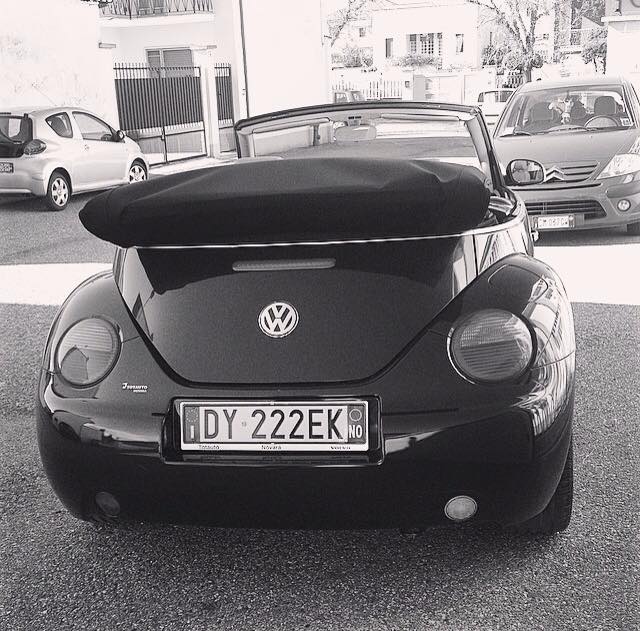 10632665 750543498413384 3848664832876839738 n