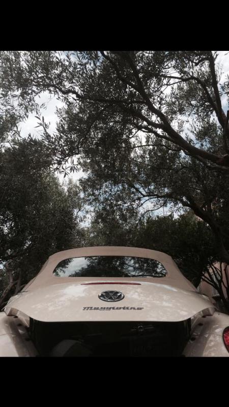 10751986 729050827183071 406278993 n