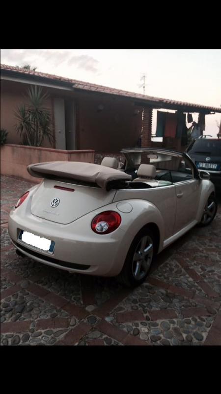 10754835 729050797183074 1818536846 n