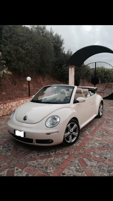 10754863 729050777183076 956606846 n