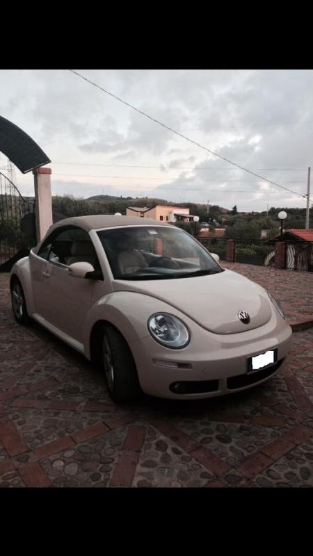 10799726 729050787183075 120956579 n