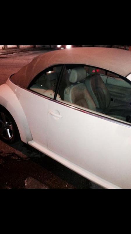 10805121 729050700516417 578257685 n