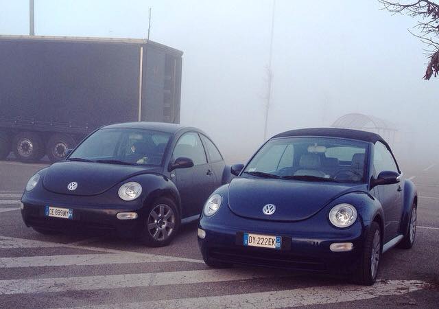 10931105 682425618558506 2424951569155233652 n