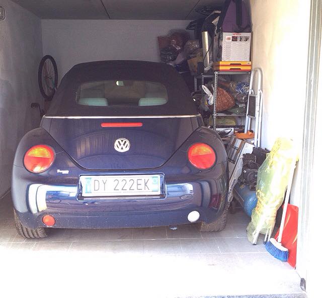 11034278 737229679744766 6796981619596345037 n