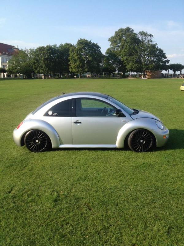 11039847 1141441989216650 3273393101285437726 n