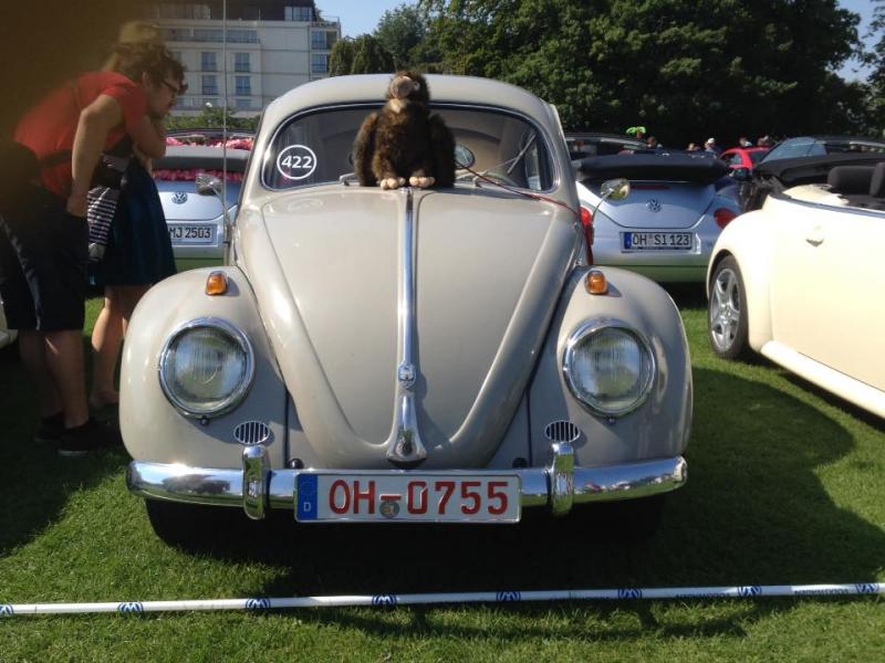 11218204 1141444949216354 3890441340225182888 n