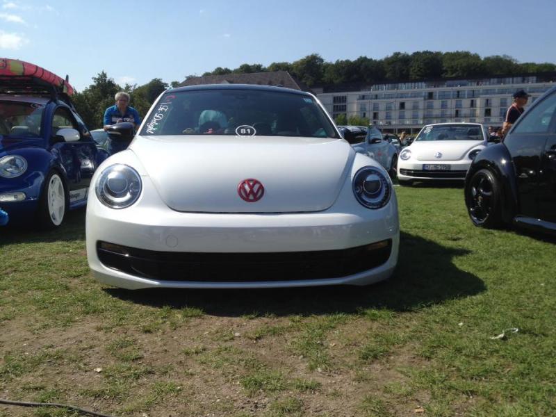 11243913 1141445739216275 4749544439159544462 n - copia