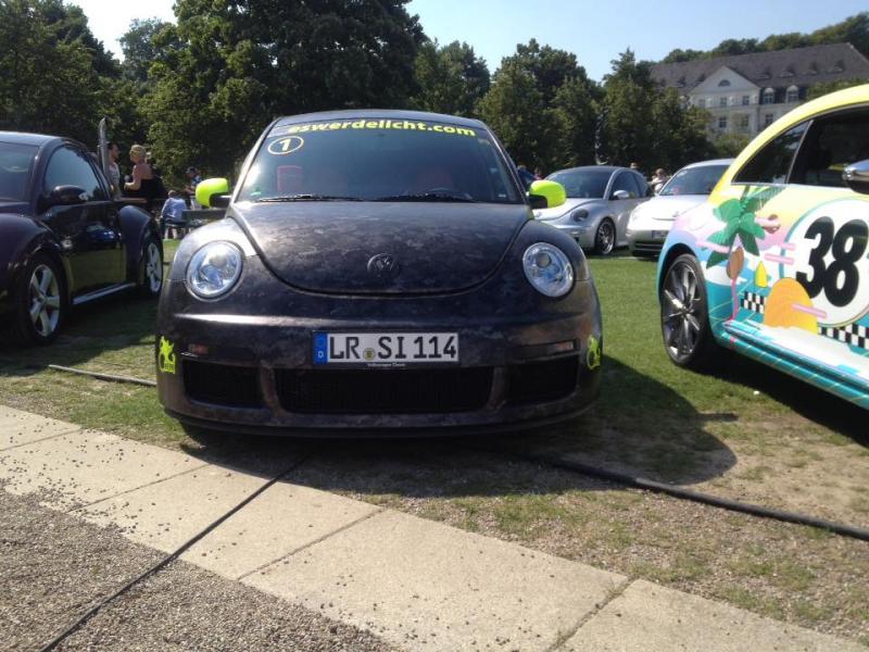 11873509 1141445345882981 4735736523446060303 n - copia