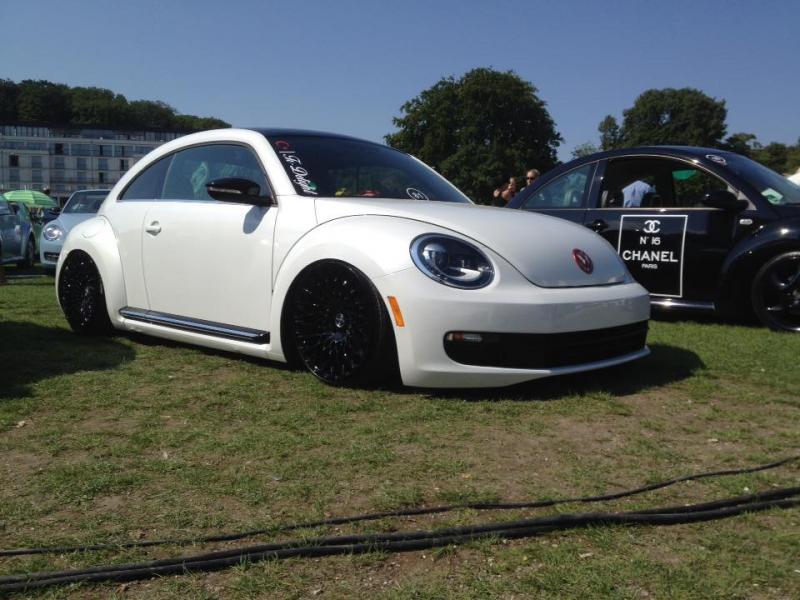 11880640 1141445772549605 6778382510594389010 n - copia