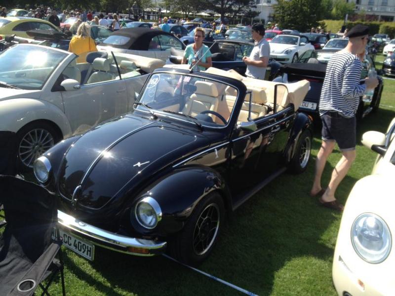 11891196 1141443992549783 6281788182247197877 n