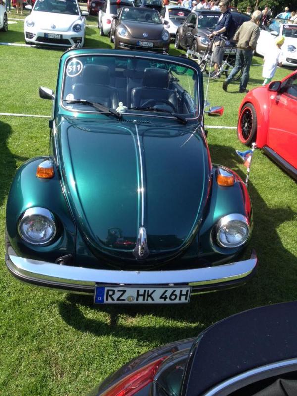 11891266 1141443712549811 222060236214813240 n - copia